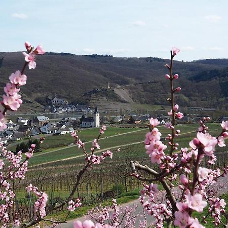Gaestehaus Preuss Ellenz-Poltersdorf Esterno foto