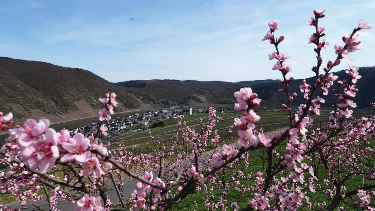 Gaestehaus Preuss Ellenz-Poltersdorf Esterno foto