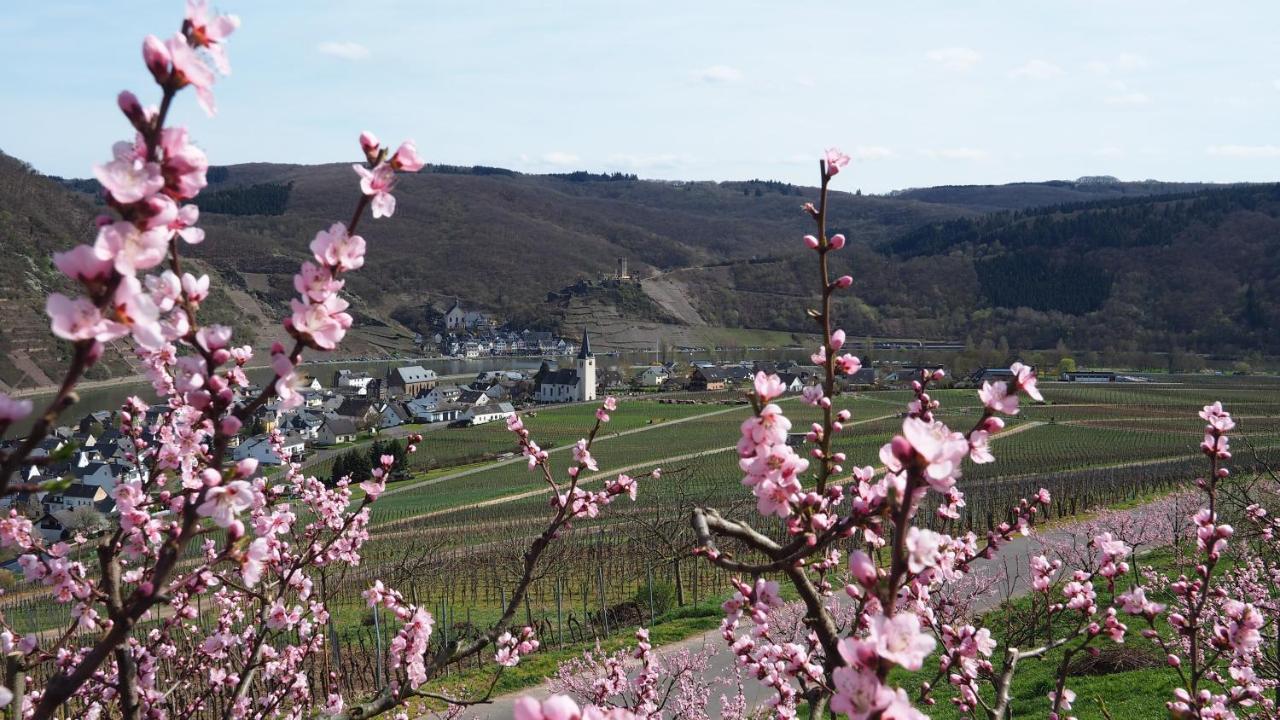Gaestehaus Preuss Ellenz-Poltersdorf Esterno foto
